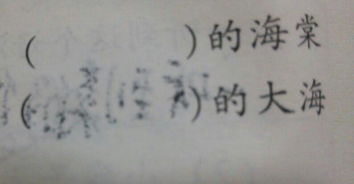 ___的琴声 (填合适的词语)