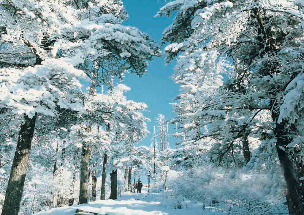 霁雪古诗，霁雪古诗拼音版