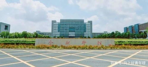 合肥学院研究生可以单独租房嘛