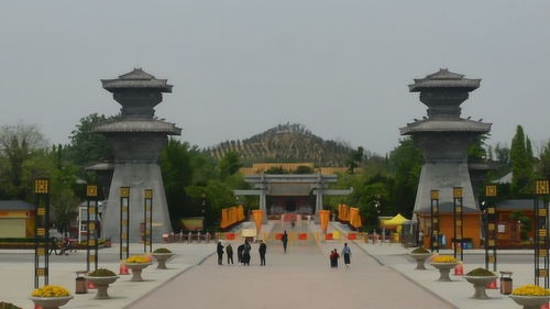 河南新郑机场，河南新郑大学