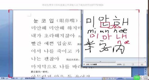 快速学韩语的软件，快速学韩语骂人的方法