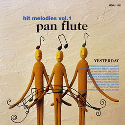 flute的中文翻译，flute歌曲