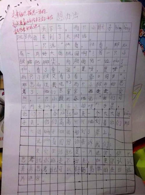 二年级写话50字左右三篇，二年级写话50字左右例文