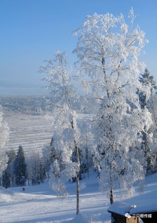 霁雪和雪霁有什么区别