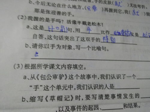 用是写比喻句四年级，用是写比喻句子