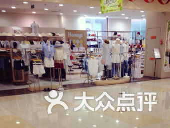 honeysucle，honeyseed闭店
