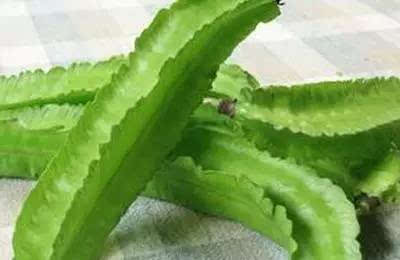 蒌叶种植技巧 蒌叶种植窍门