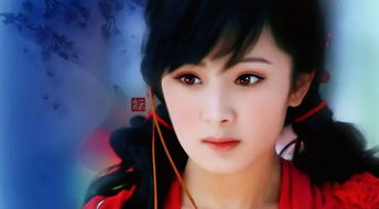 猪婆参，猪婆菜