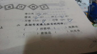 什么的琴声填空题，什么的琴声填合适词语二年级
