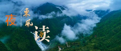 如影随形意思