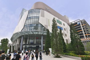plaza的中文意思，plaza翻译