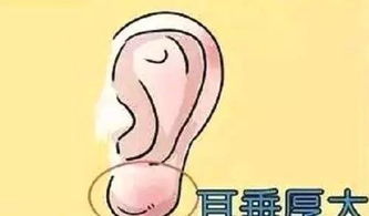 左边一个呈字,右边一个耳朵旁是什么字?