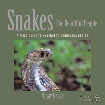 snake是什么意思