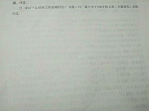 温暖的记忆作文500字，温暖的记忆作文300字