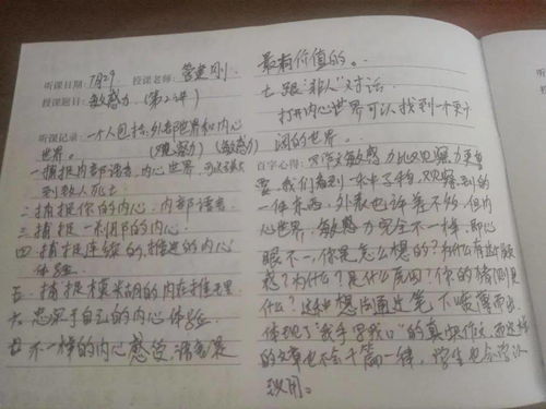 做灯笼作文500字