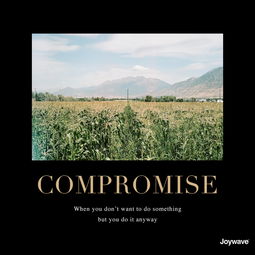 compromise用法及搭配，compromise怎么记忆