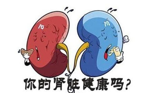 导致的英文短语cause