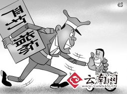 凑数的拼音