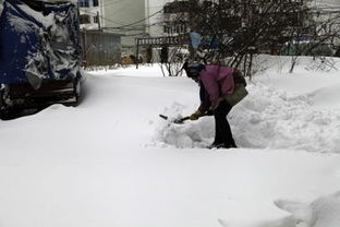 哈尔滨为了应对暴雪采取了哪些措施?