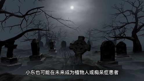 踩影子小班教案，踩影子歌词
