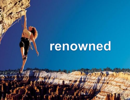 renowned翻译，renowned造句