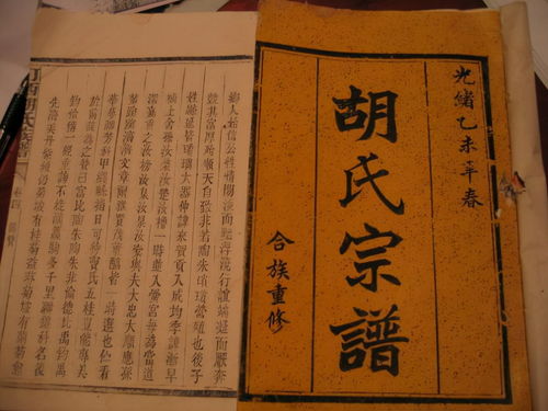 胡姓氏起源和来历是什么?