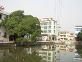 象阳镇卫生院电话，象阳镇花浃村