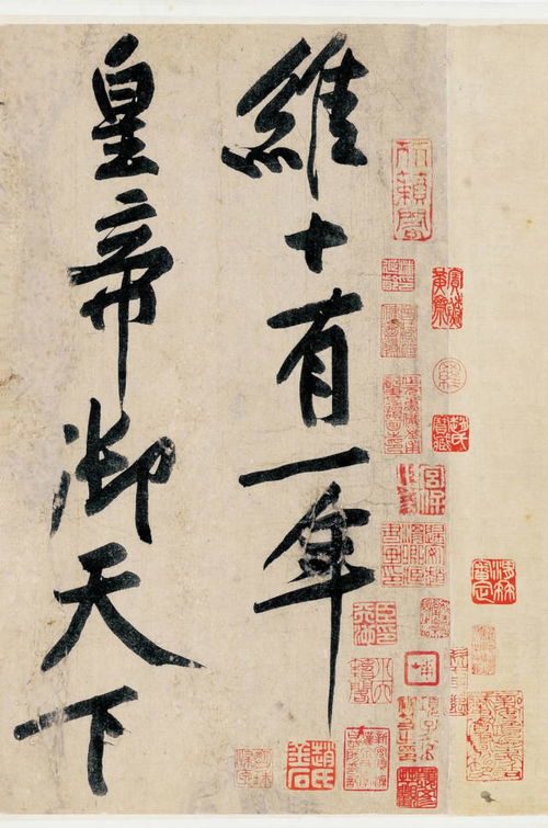 腴的读音是什么