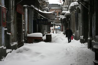 哈尔滨暴雪路滑环卫工爬行过马路，哈尔滨暴雪12月