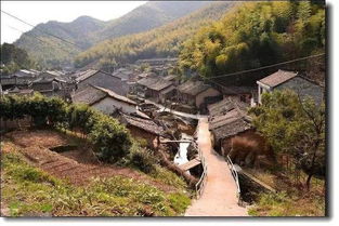 大理磻溪村到才村有多少公里