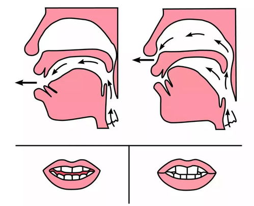 翘舌音的字