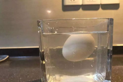 盐水浮鸡蛋的原理50字，盐水浮鸡蛋的原理简单40字