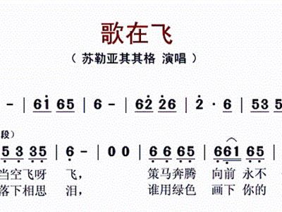 心菲菲梦醉醉是什么歌