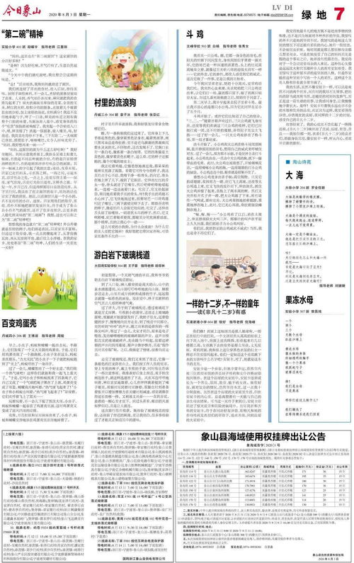 实践出真知作文