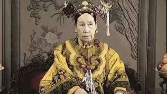 西太后是什么?