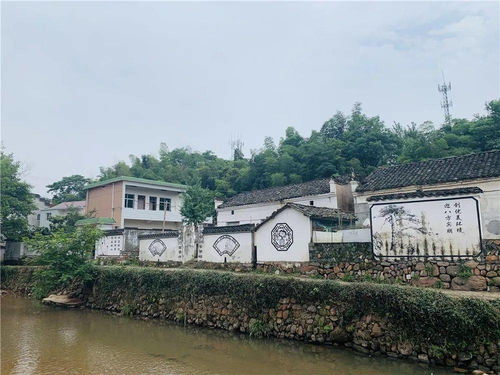 介绍我的家乡作文