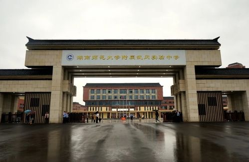 树达学院是几本
