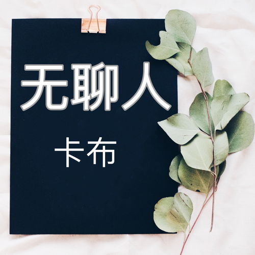 海芋恋的歌词
