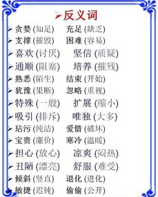 敏锐的反义词