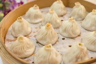 美味的小笼包作文，南京小笼包作文