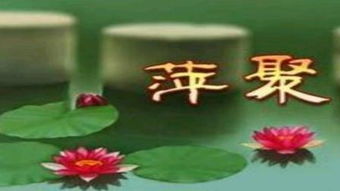 萍聚简谱，萍聚这首歌表达了什么情感