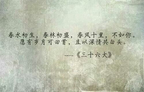 旅游文艺范儿小清新的句子(精选20句)