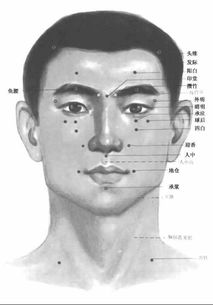 承泣的作用与功效，承泣定位