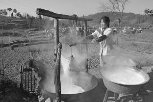 何人不起故园情的作者，何人不起故园情前面一句