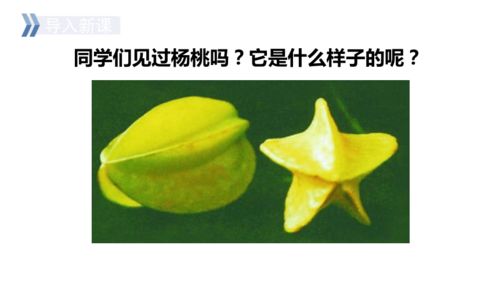 画杨桃课文有几个自然段