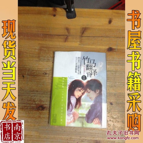 竹马翻译官讲的什么故事，竹马翻译官 小说