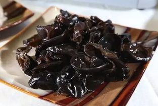 词语造句:用木耳造句(约30个)