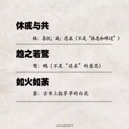层林尽染什么意思