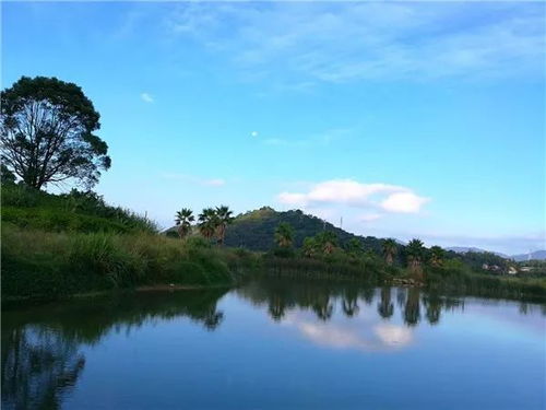 我愿意是急流仿写8句爱情，我愿意是急流仿写一段我愿意是海风
