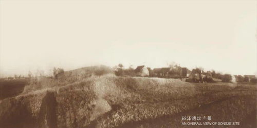 访即遣子抚率三千人会石览俱救崧的意思，崧的意思在名字里